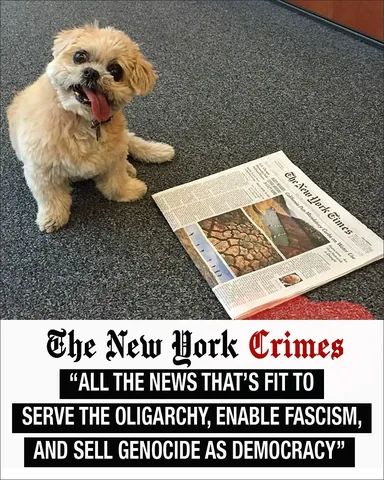 marniethedog Instagram post about Media outreach