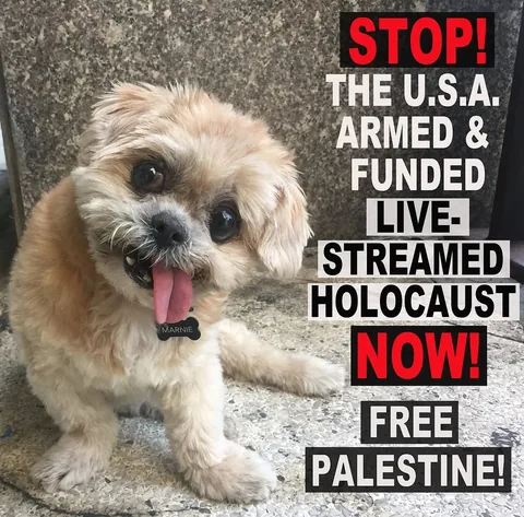 marniethedog Instagram post about Unspecified visual content