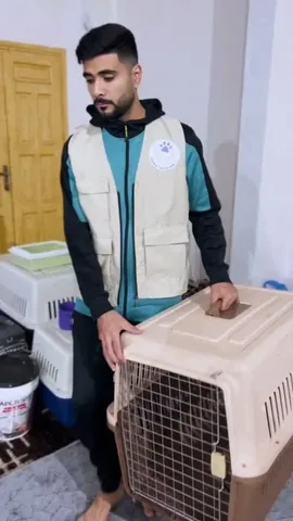 marniethedog Instagram post about Cat shelter fundraising