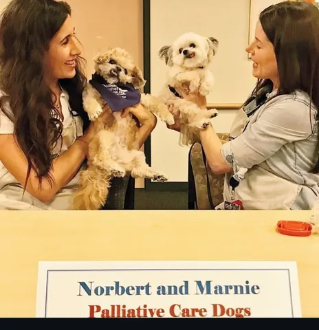 marniethedog Instagram post about Memorial and social advocacy