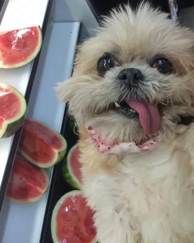 marniethedog Instagram post about Unspecified ongoing series