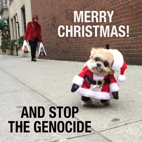 marniethedog Instagram post about Unspecified visual content