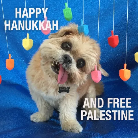 marniethedog Instagram post about Unspecified visual content