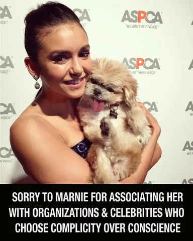 marniethedog Instagram post about Animal welfare outreach