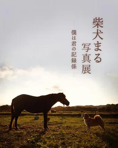 marutaro Instagram post about Photography exhibition