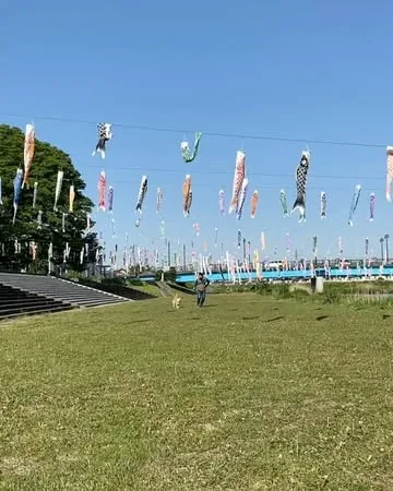 marutaro Instagram post about Children’s Day and koinobori