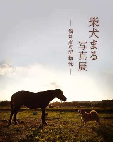 marutaro Instagram post about Photography exhibition