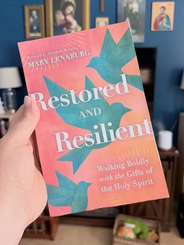 marylenaburg Instagram post about Book promotion