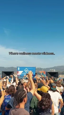 mattsteffanina Instagram post about Wellness rave