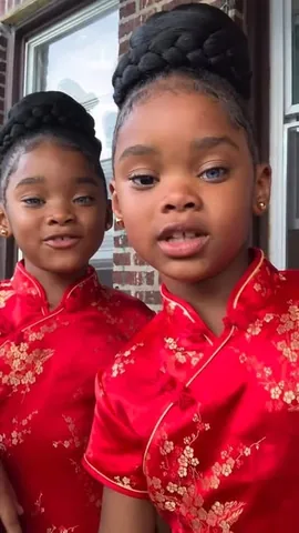 megan_morgan_truebluetwins Instagram post about Twin girls