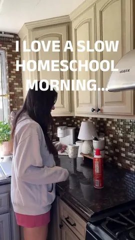 _melissaholguin Instagram post about Homeschool mornings