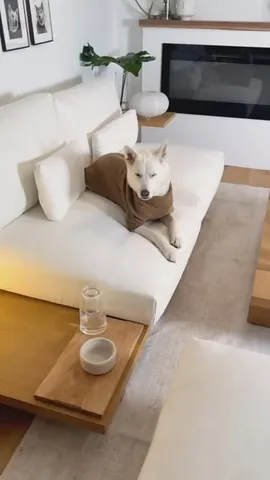 mensweardog Instagram post about Creative studio transformation
