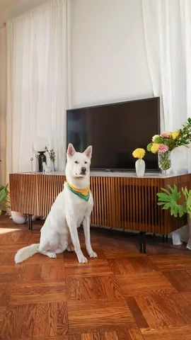 mensweardog Instagram post about Living room makeover