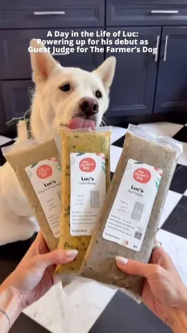 mensweardog Instagram post about Dog event sponsorship