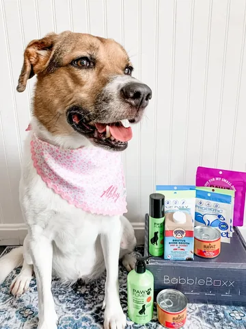 mich58 Instagram post about Pet care products