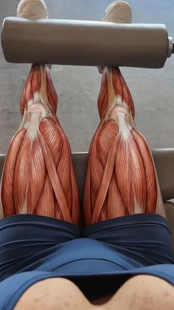 michelle_lewin Instagram post about Técnica de extensiones de pierna