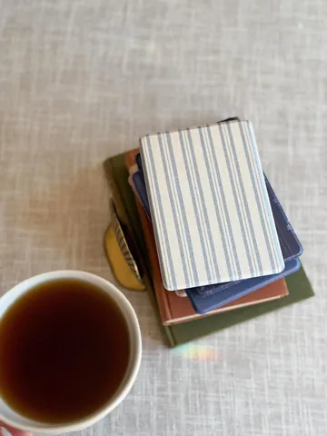 michellereadsbooks Instagram post about Kindle case launch