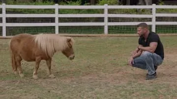 mindmusclepro Instagram post about Healing through horses film