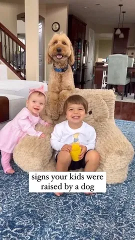 minidoodlebentley Instagram post about Dog and toddler relationship