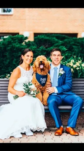 minidoodlebentley Instagram post about Dog’s life stages