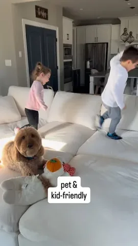 minidoodlebentley Instagram post about Durable family sofa