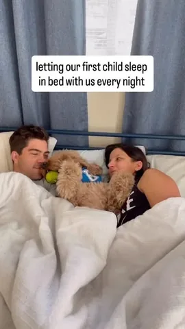 minidoodlebentley Instagram post about Dog as first child