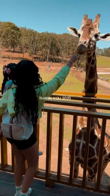 mirandav_brave Instagram post about Year end reflection