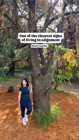 missalexlarosa Instagram post about Personal alignment