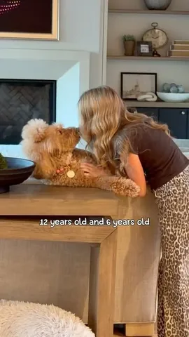missjazzy.doodle Instagram post about Dog growth