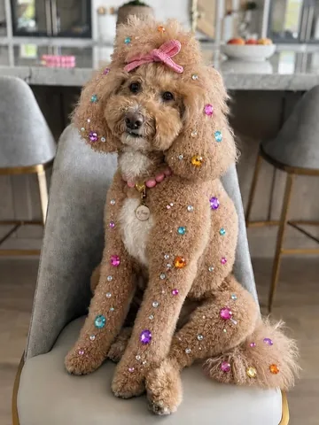 missjazzy.doodle Instagram post about AI generated dog imagery