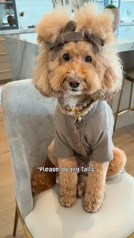 missjazzy.doodle Instagram post about Dog fashion
