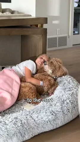 JAZZY🐾 the Fashion Doodle and dog mom Krista Robinson Instagram post thumbnail