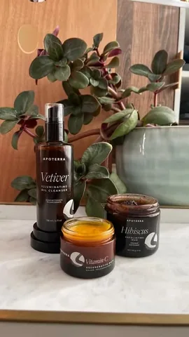 mochiandblush Instagram post about Apoterra skincare box review