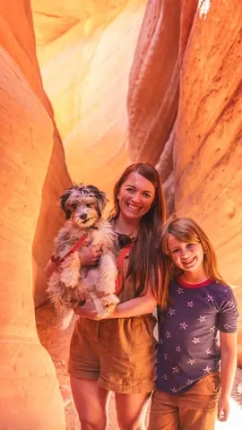 moonfamilylife Instagram post about Dog friendly travel