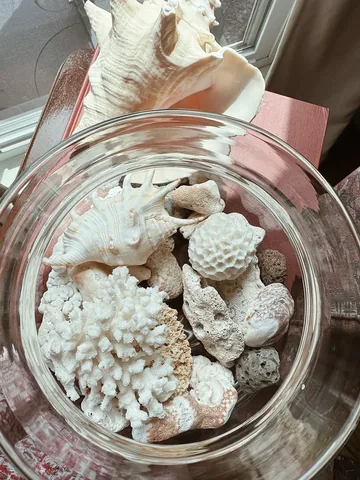 motherhoodismyfiat Instagram post about Seashell collecting