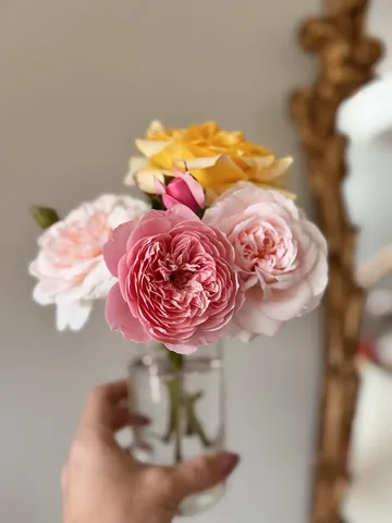 motherhoodismyfiat Instagram post about Roses and gardening