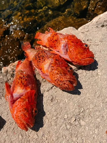 motherofalladventures Instagram post about Aquatic leisure