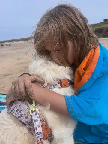 mrsgifletcher Instagram post about Dog companionship