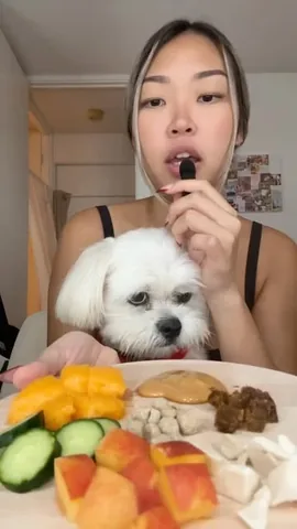 mr.tobiman Instagram post about Dog and food