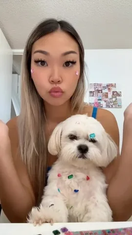 mr.tobiman Instagram post about Pet grooming trend