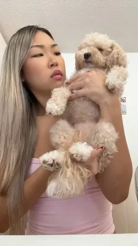 mr.tobiman Instagram post about Pet grooming