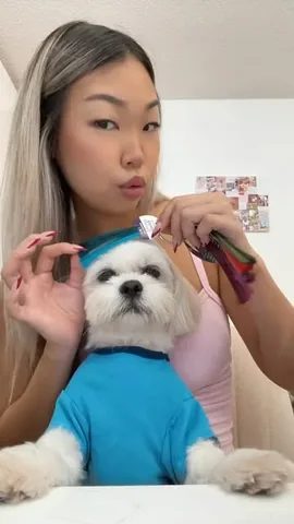 mr.tobiman Instagram post about Dog appearance