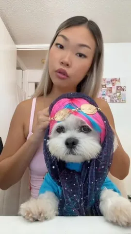 mr.tobiman Instagram post about Dog grooming