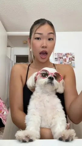 mr.tobiman Instagram post about Dog persona