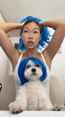 mr.tobiman Instagram post about Pet fashion