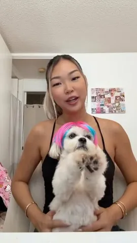 mr.tobiman Instagram post about Dog appearance