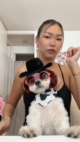 mr.tobiman Instagram post about Pet fashion
