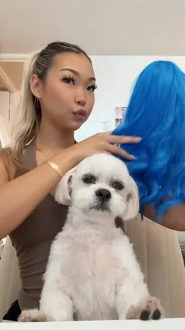 mr.tobiman Instagram post about Dog interaction