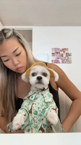 mr.tobiman Instagram post about Dog humor
