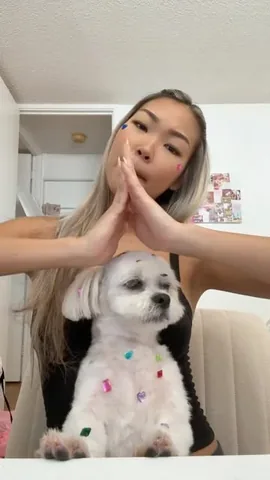 mr.tobiman Instagram post about Dog humor